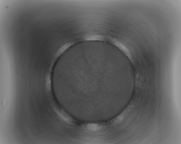 X0000111640298200907241116