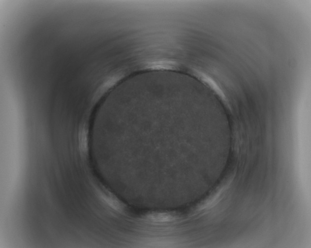 X0000111640299200907241116