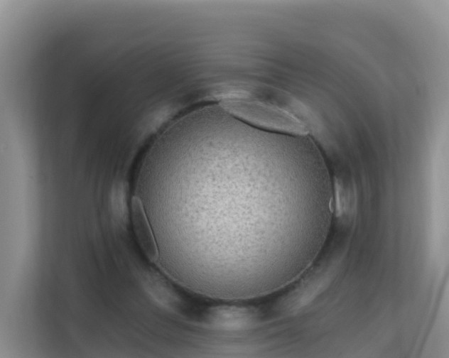 X0000111640300200907241116