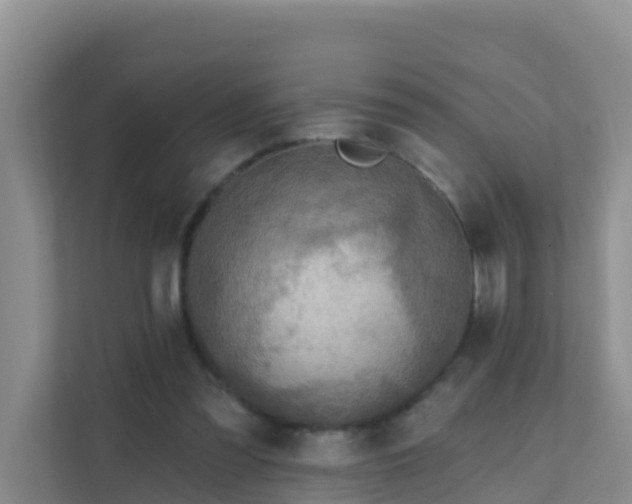 X0000111640301200907241116