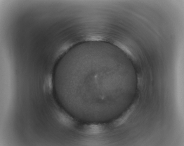 X0000111640302200907241116