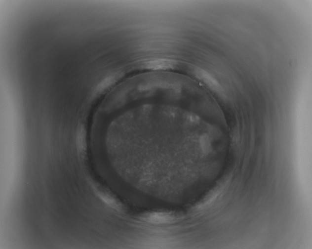 X0000111640303200907241116