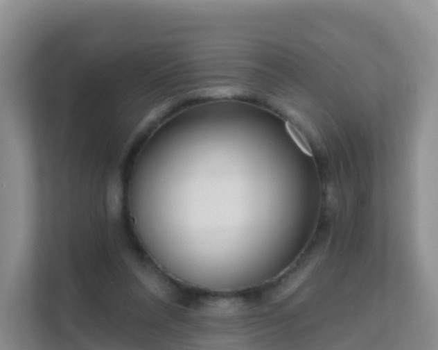 X0000111640304200907241116