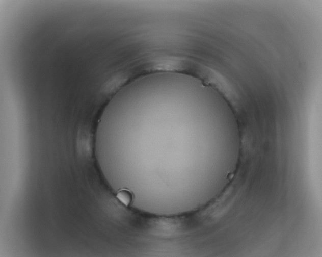 X0000111640305200907241116