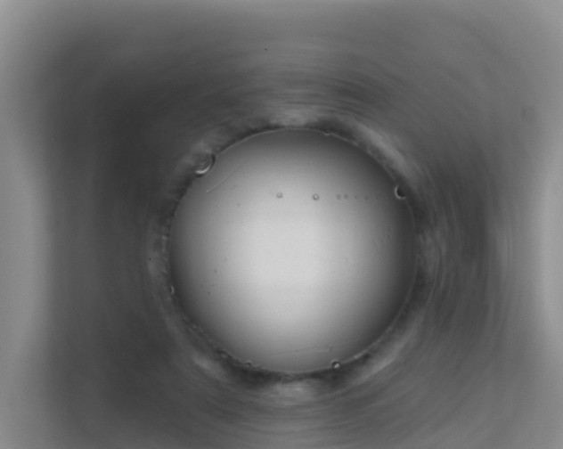 X0000111640307200907241116