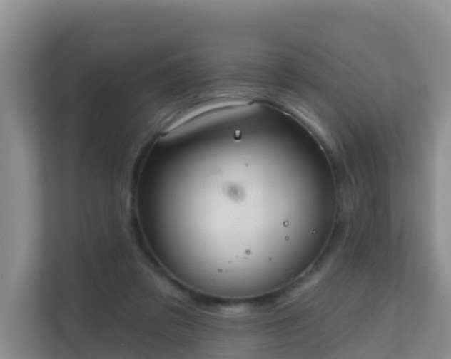 X0000111640309200907241116