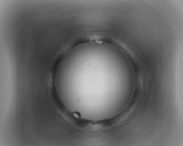 X0000111640311200907241116