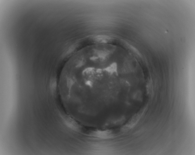 X0000111640314200907241116