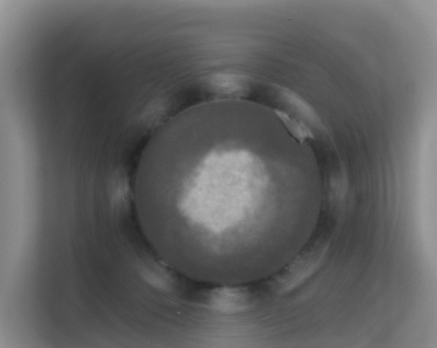 X0000111640320200907241116