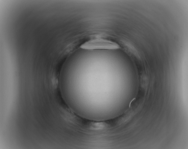 X0000111640324200907241116