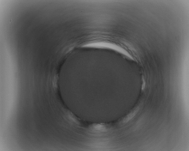 X0000111640325200907241116