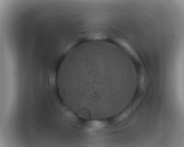 X0000111640326200907241116