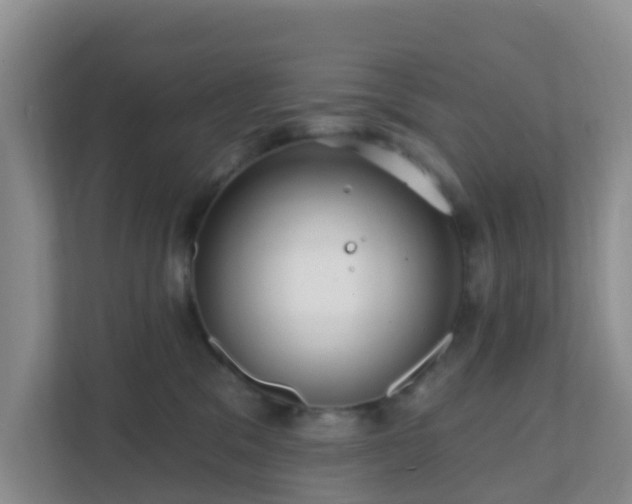 X0000111640329200907241116