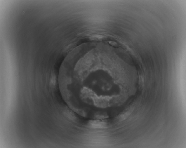 X0000111640331200907241116