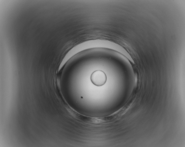 X0000111640333200907241116