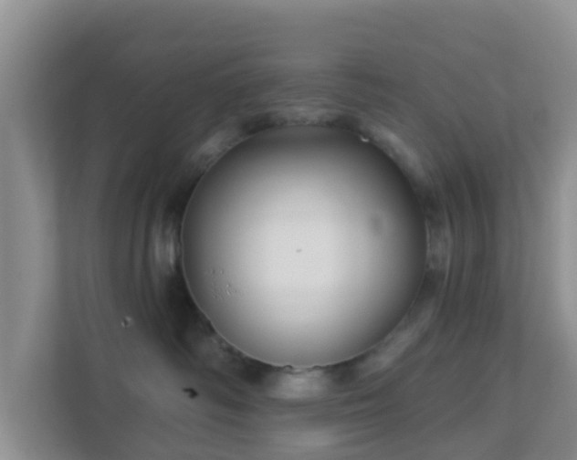 X0000111640334200907241116