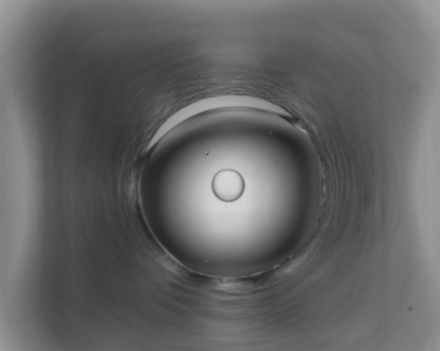 X0000111640336200907241116