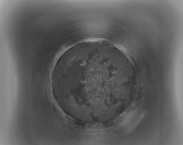 X0000111640337200907241115