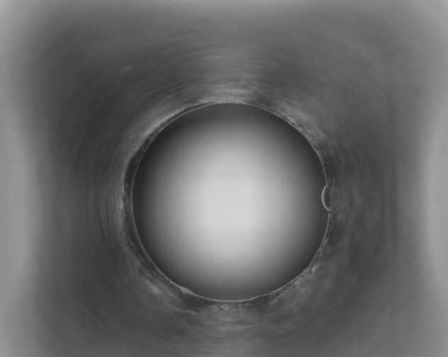 X0000111640338200907241115