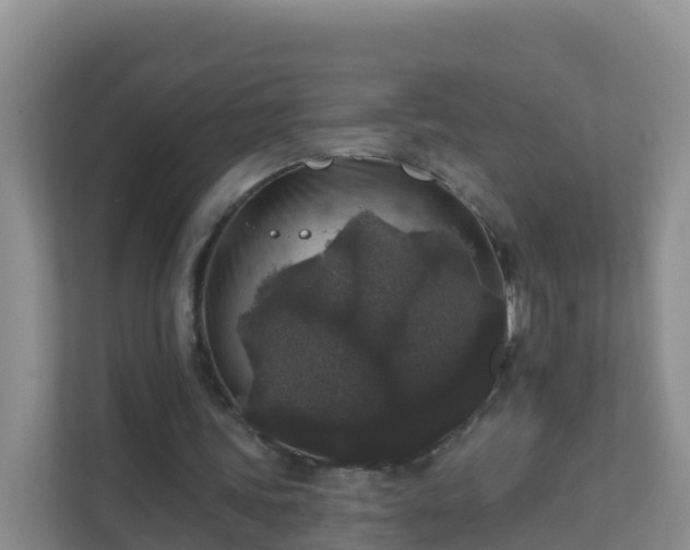 X0000111640339200907241115