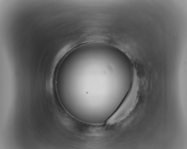 X0000111640340200907241115