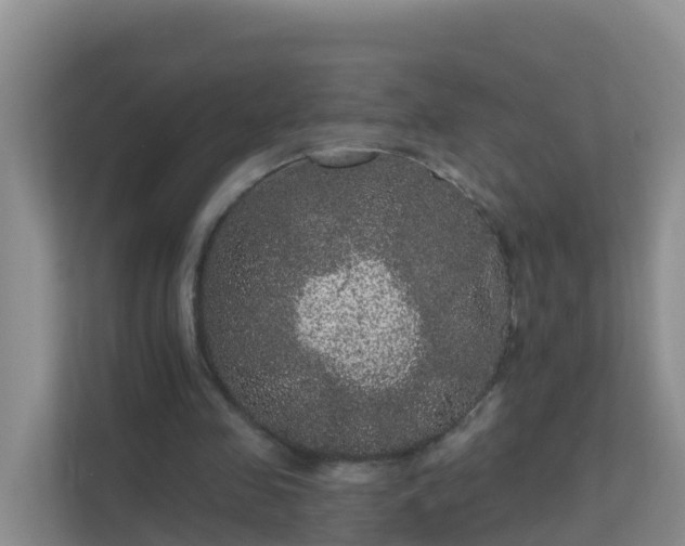 X0000111640341200907241115