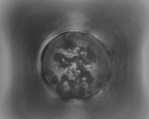 X0000111640343200907241115