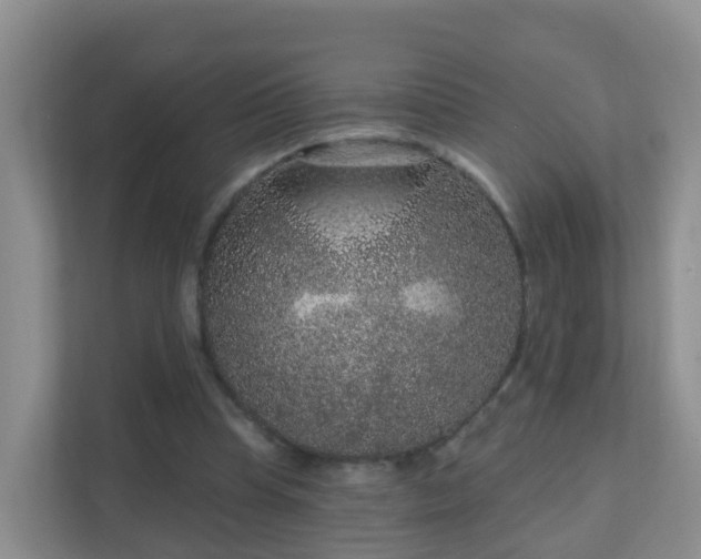 X0000111640345200907241115