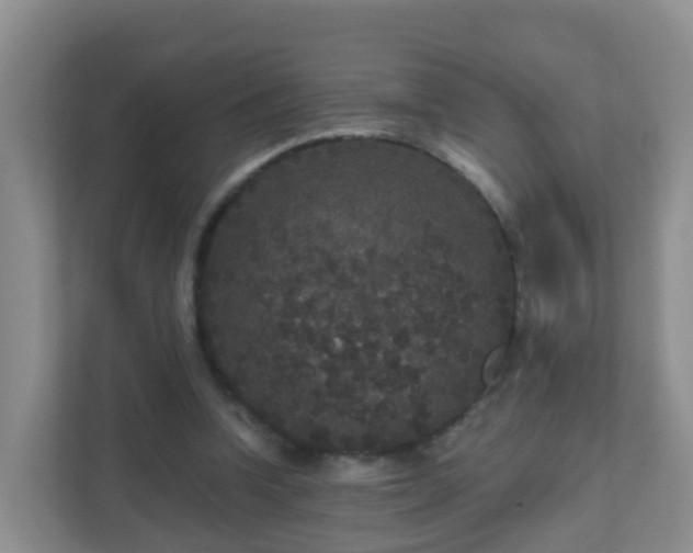 X0000111640346200907241115