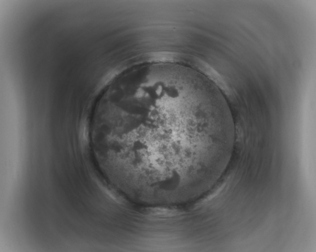 X0000111640347200907241115