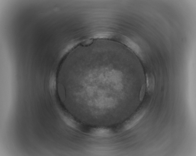 X0000111640348200907241115