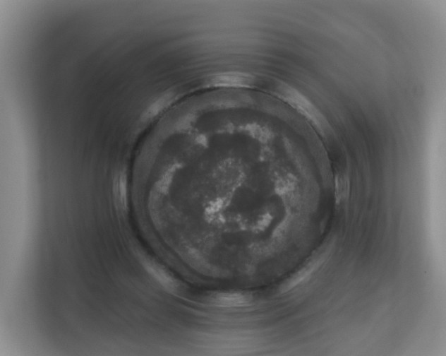 X0000111640349200907241115