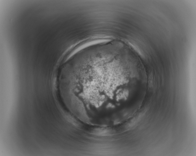 X0000111640351200907241115