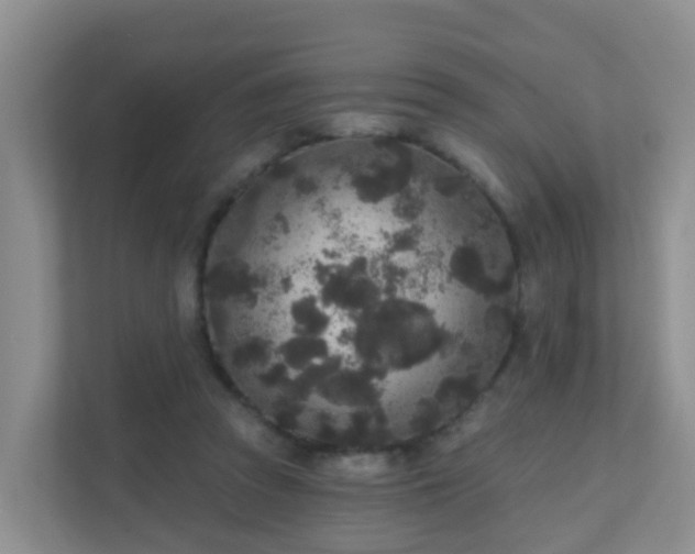 X0000111640353200907241115