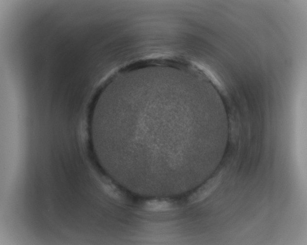 X0000111640354200907241115