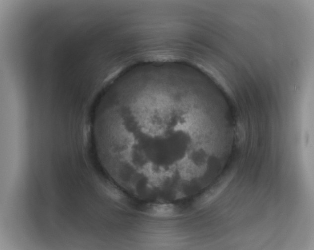 X0000111640355200907241115