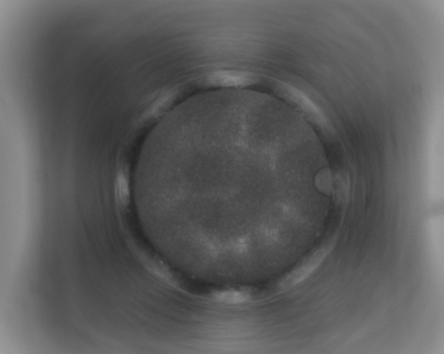 X0000111640358200907241116