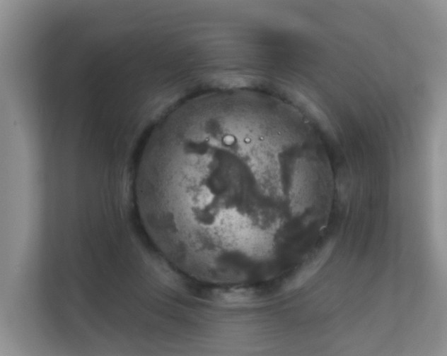 X0000111640359200907241116