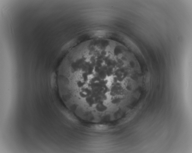 X0000111640361200907241116