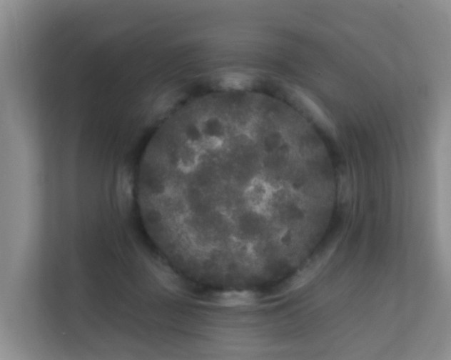 X0000111640363200907241116