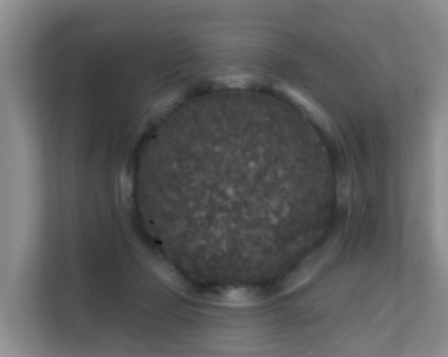 X0000111640365200907241116