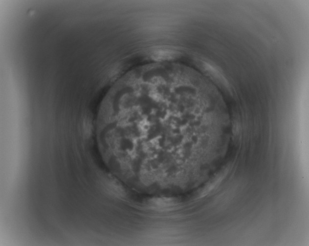 X0000111640367200907241116