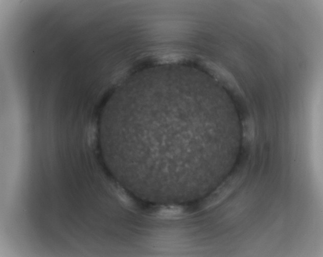 X0000111640369200907241116