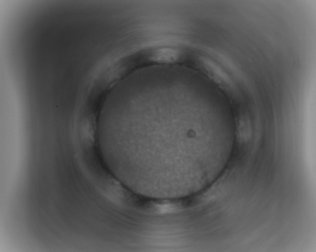 X0000111640370200907241116