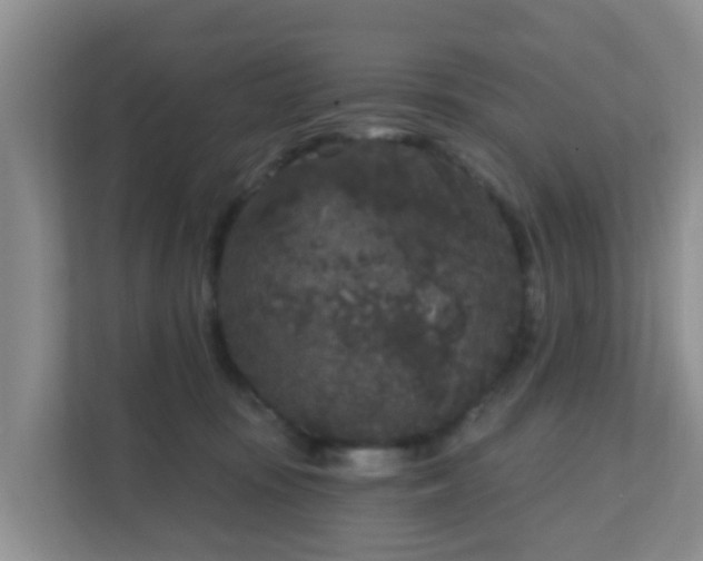 X0000111640371200907241116