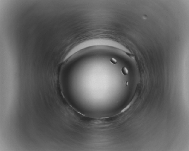 X0000111640372200907241116