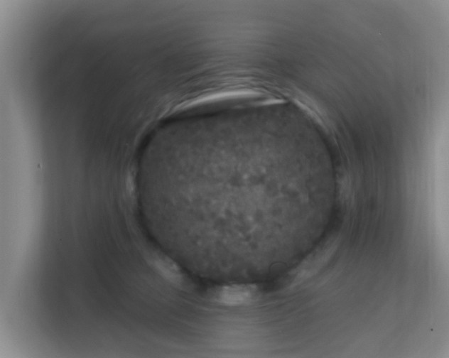 X0000111640373200907241116