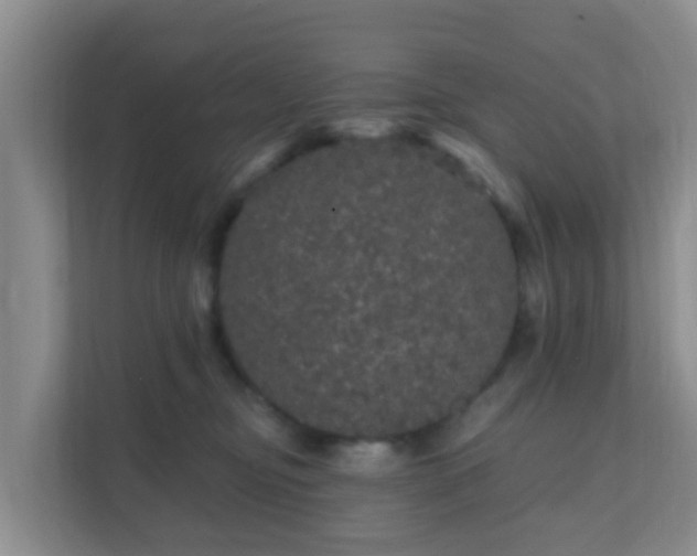 X0000111640374200907241116