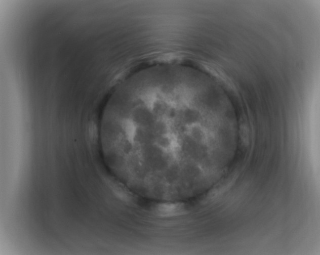 X0000111640375200907241116