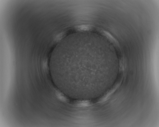 X0000111640377200907241116